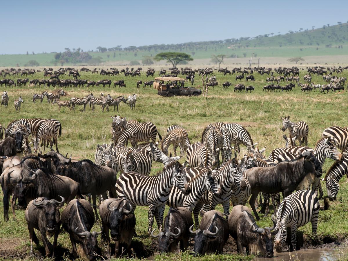 One Nature Nyaruswiga Serengeti Banagi Екстер'єр фото