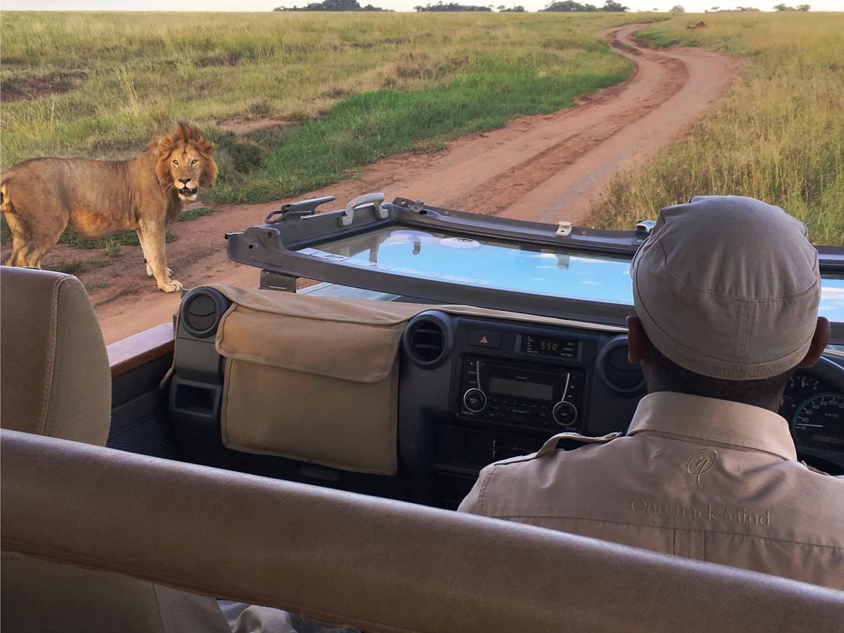 One Nature Nyaruswiga Serengeti Banagi Екстер'єр фото