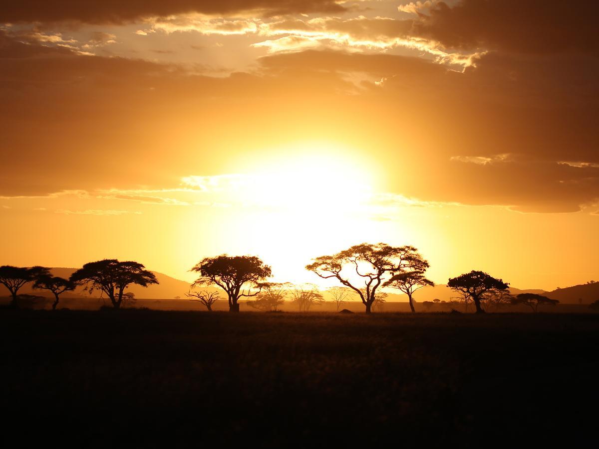 One Nature Nyaruswiga Serengeti Banagi Екстер'єр фото