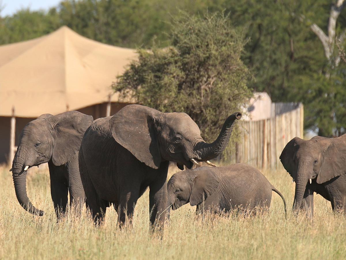 One Nature Nyaruswiga Serengeti Banagi Екстер'єр фото